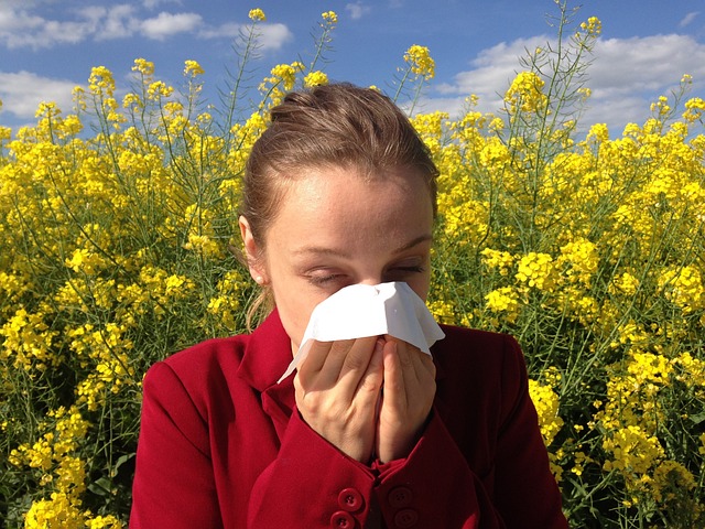 Alergia na pyłki kwiatów: które rośliny są największym wyzwaniem dla alergików?